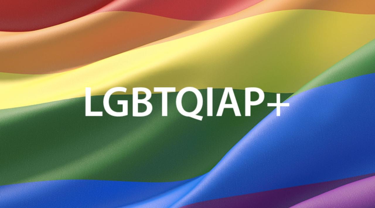 SAIBA O QUE SIGNIFICA CADA LETRA DA SIGLA LGBTQIAP+
