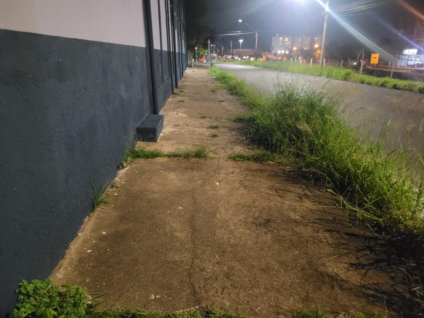 Fiscalização notifica proprietários para limpeza de calçadas em Limeira